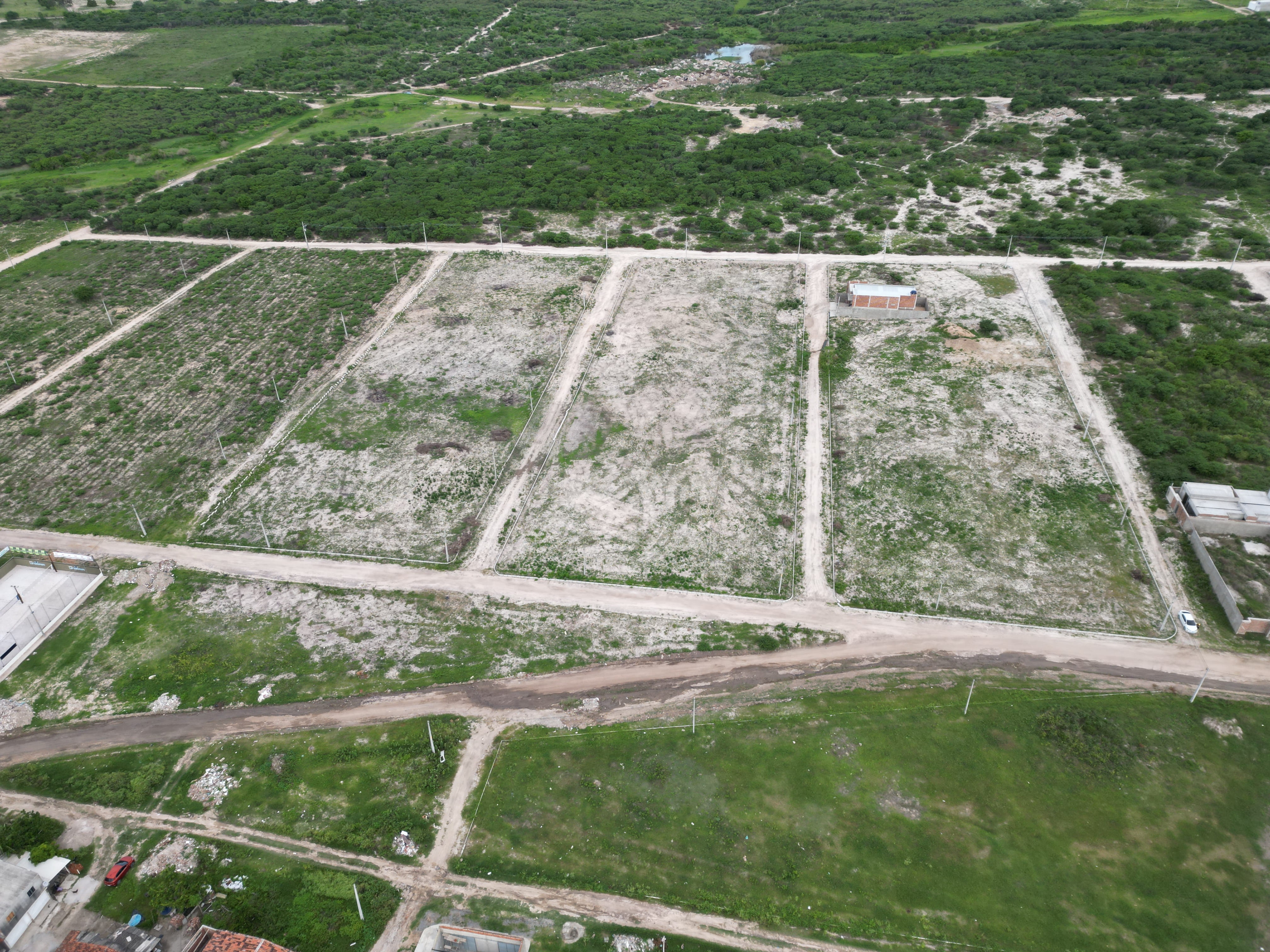 Lote 06